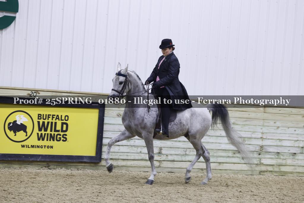 Proof 25SPRING_01880