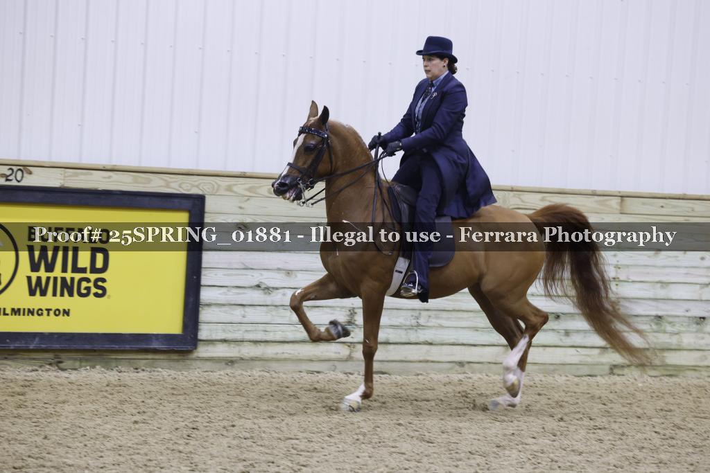 Proof 25SPRING_01881