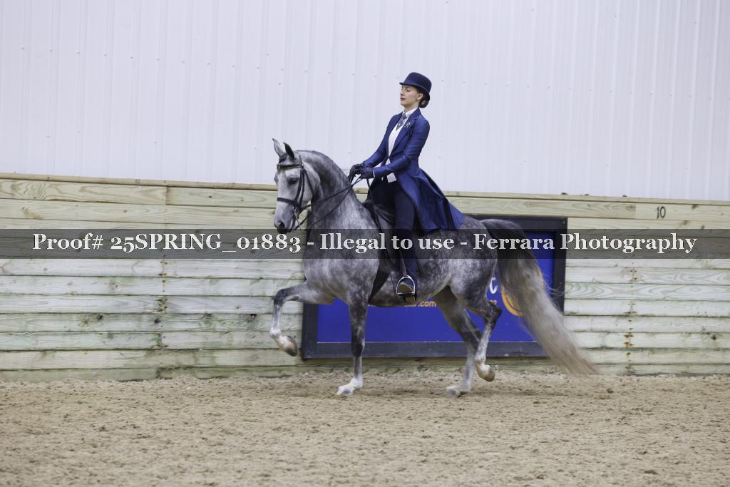 Proof 25SPRING_01883