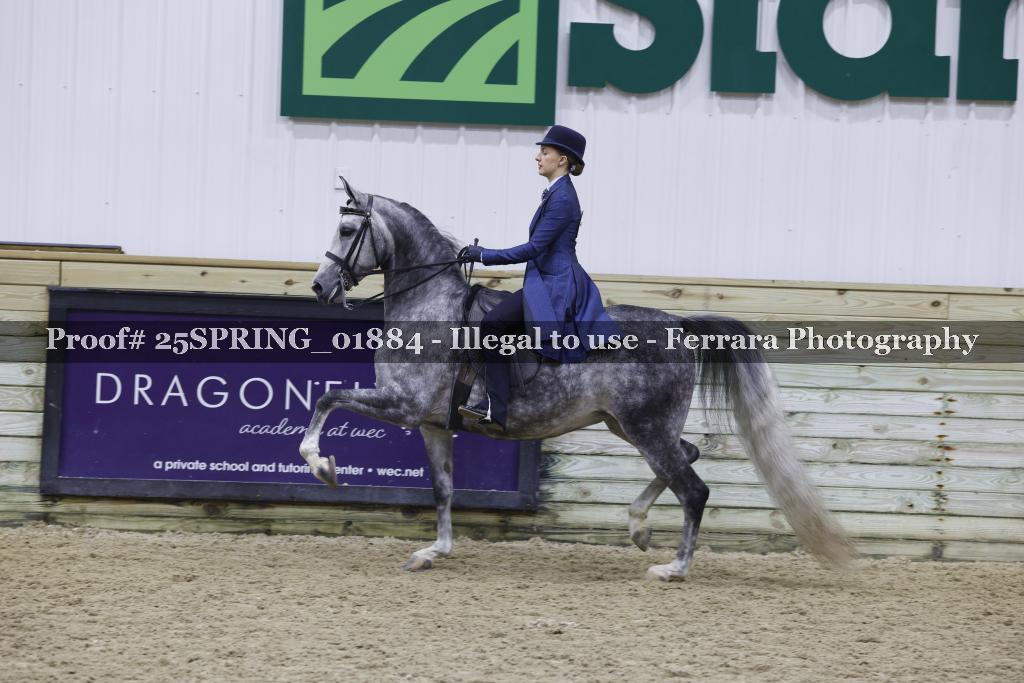Proof 25SPRING_01884