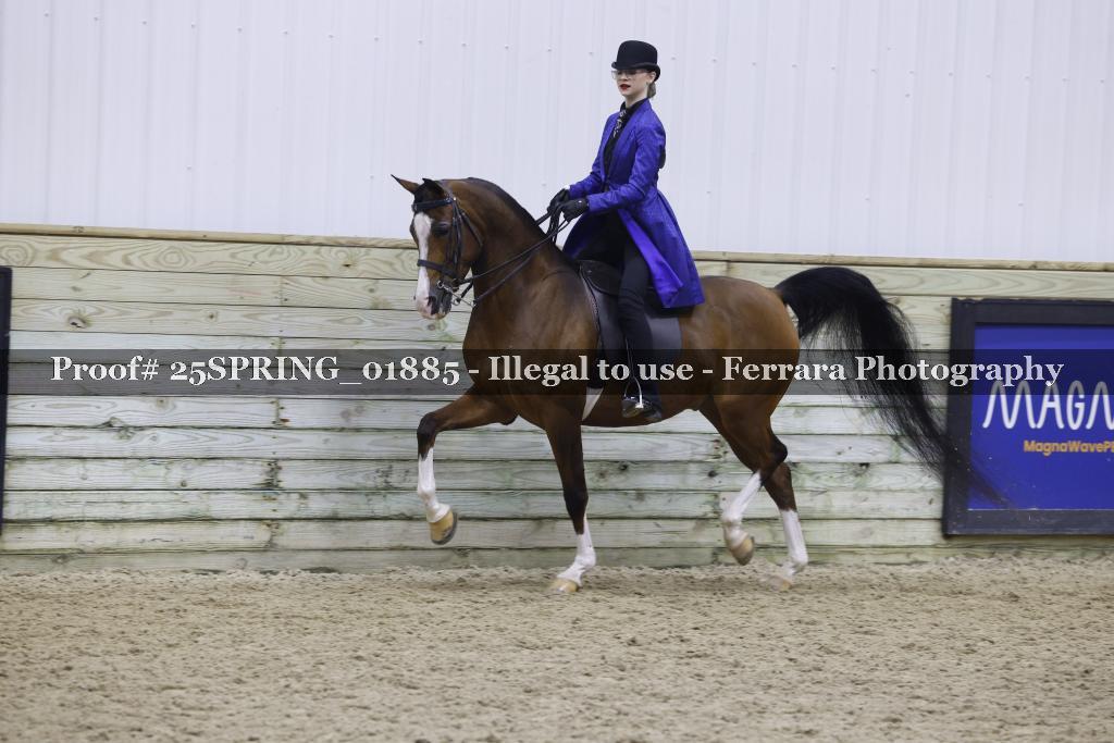 Proof 25SPRING_01885