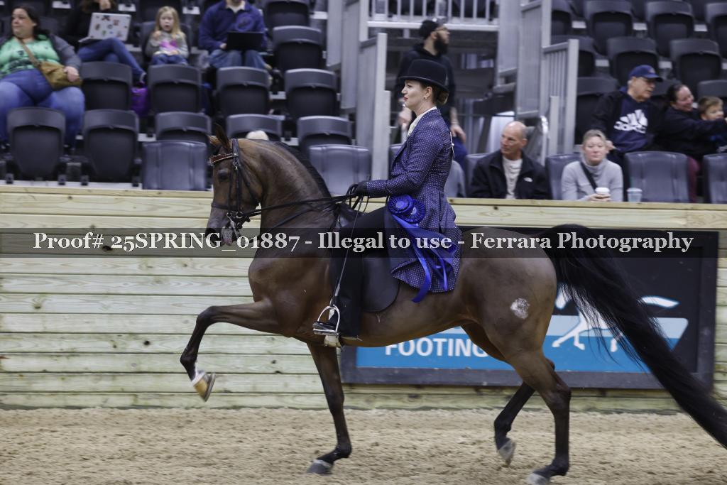 Proof 25SPRING_01887