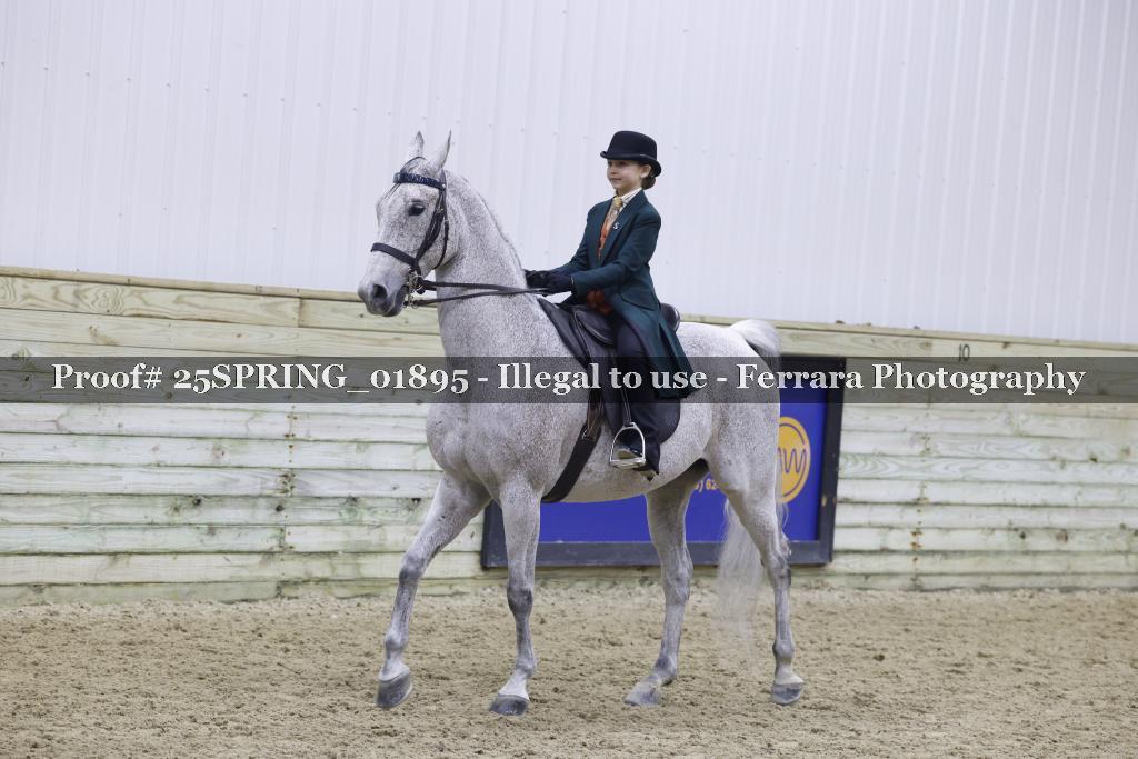 Proof 25SPRING_01895