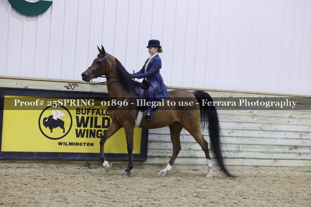 Proof 25SPRING_01896