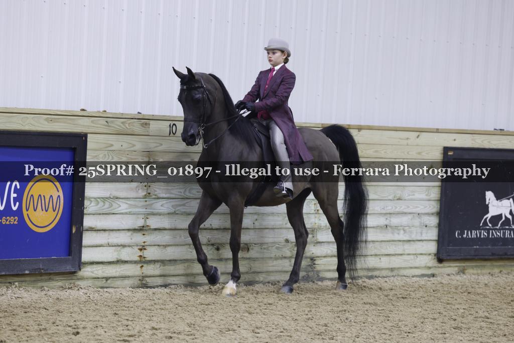 Proof 25SPRING_01897
