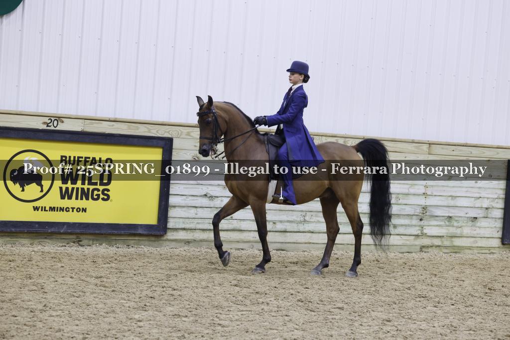 Proof 25SPRING_01899