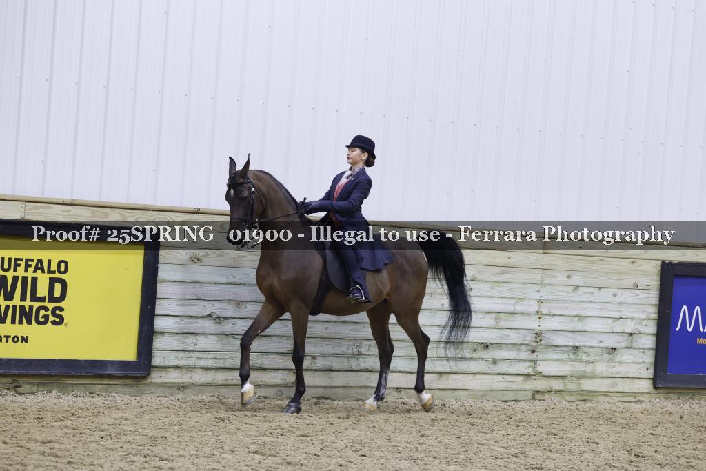 Proof 25SPRING_01900
