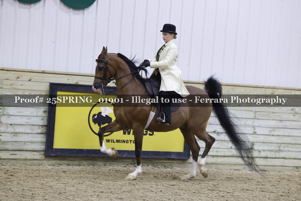 Proof 25SPRING_01901