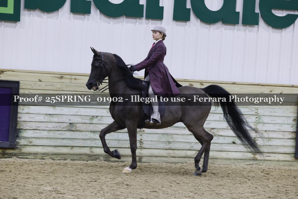 Proof 25SPRING_01902