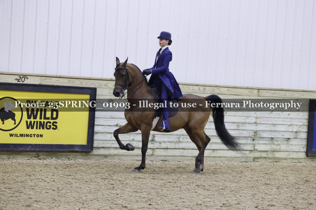 Proof 25SPRING_01903