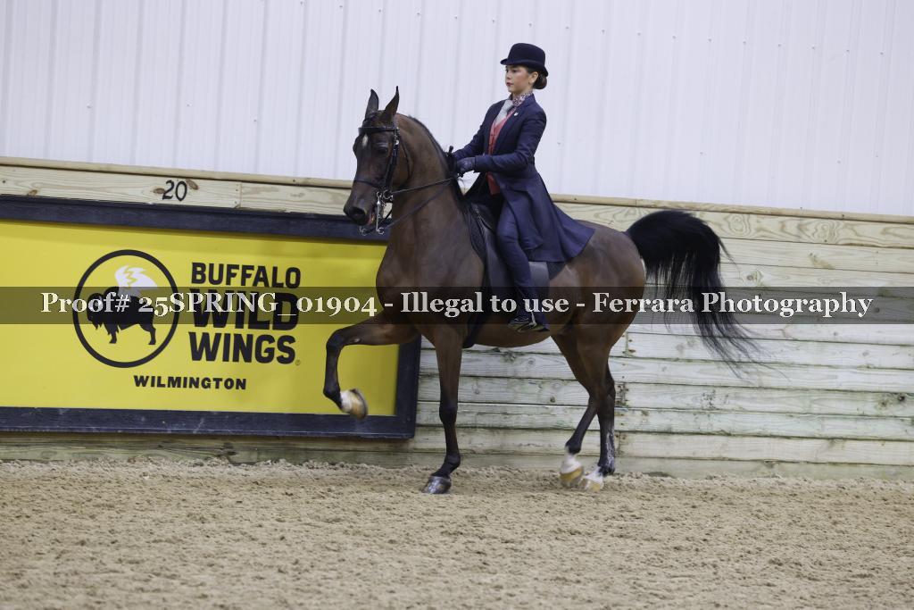 Proof 25SPRING_01904