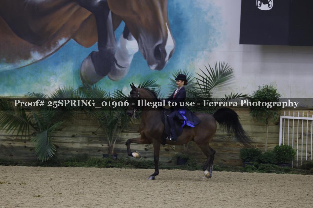 Proof 25SPRING_01906