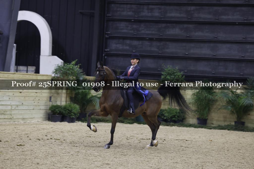 Proof 25SPRING_01908