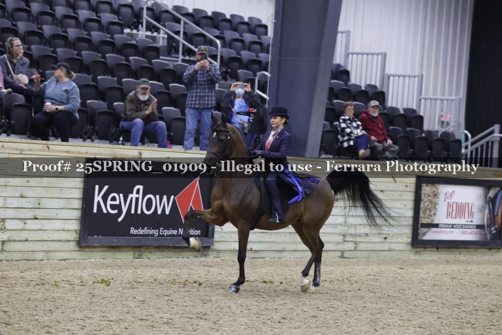 Proof 25SPRING_01909