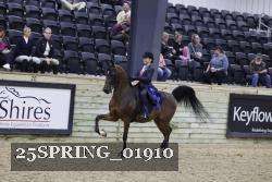 25SPRING_01910 proof