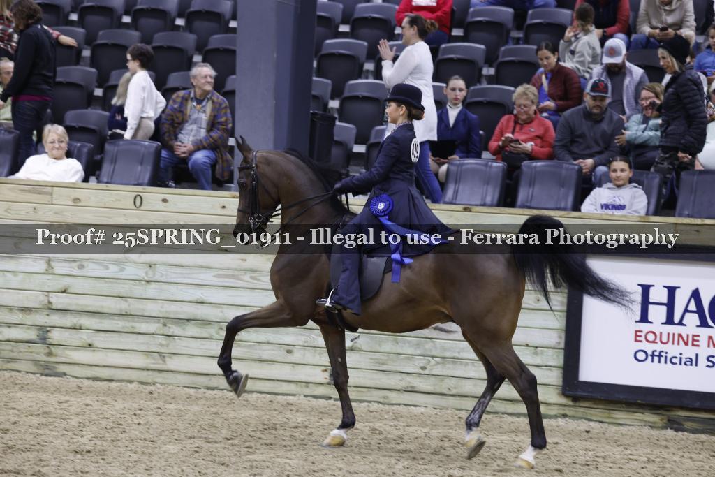 Proof 25SPRING_01911