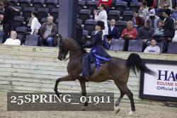 25SPRING_01911 proof