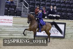 25SPRING_01914 proof