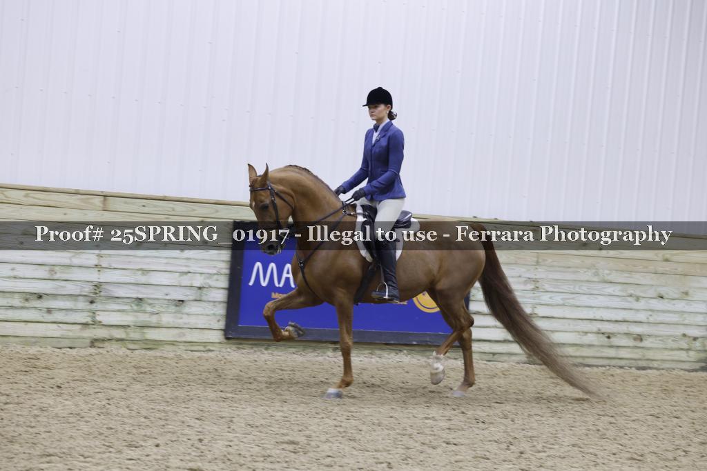 Proof 25SPRING_01917