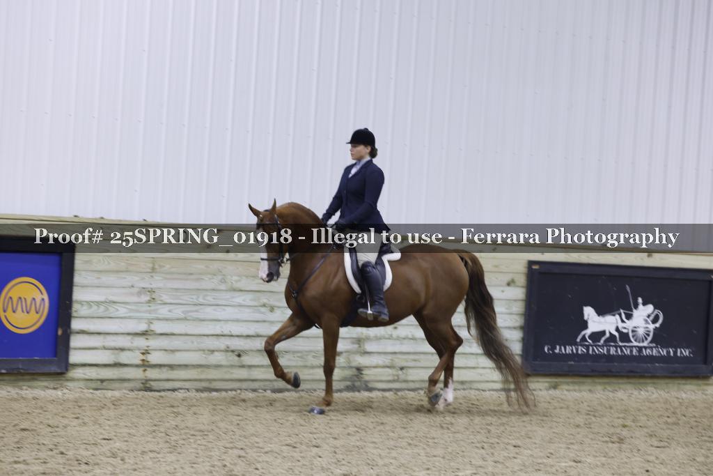 Proof 25SPRING_01918