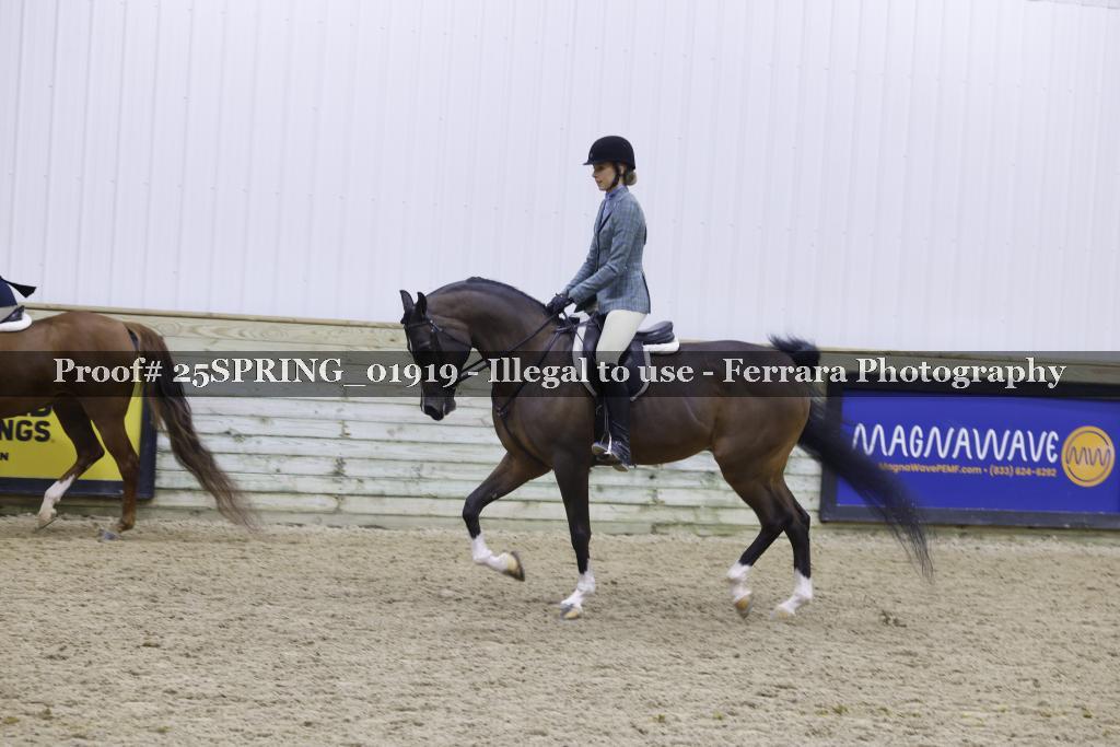 Proof 25SPRING_01919