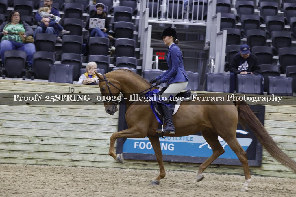 Proof 25SPRING_01929