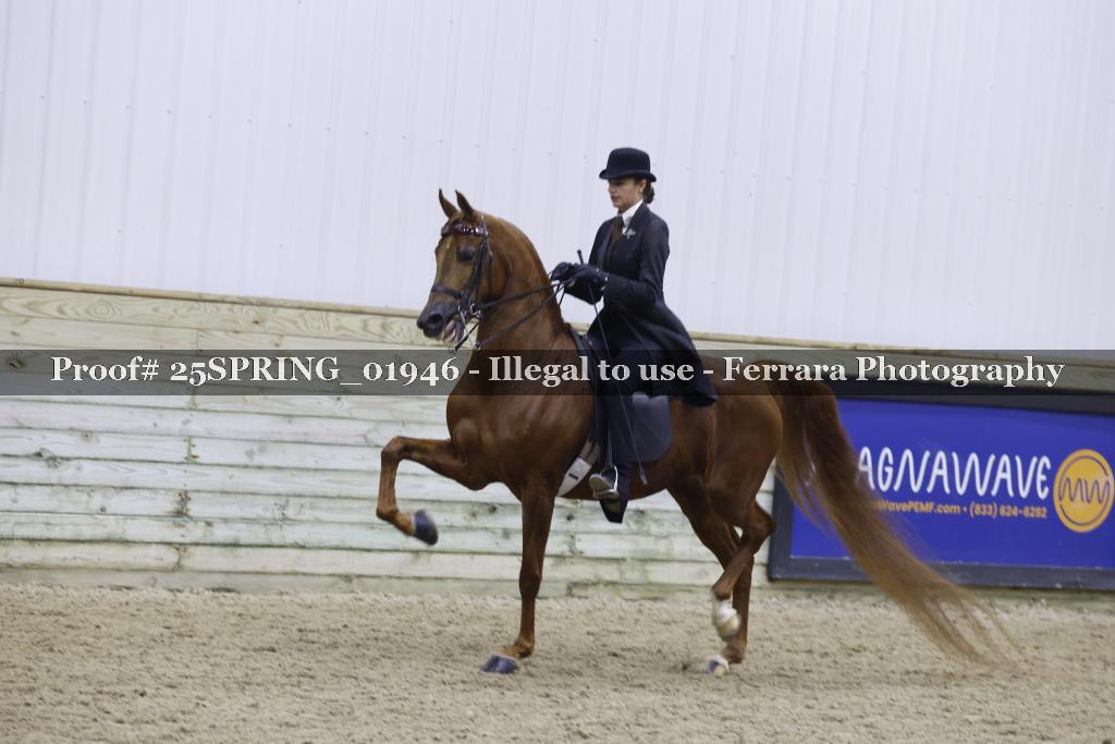 Proof 25SPRING_01946