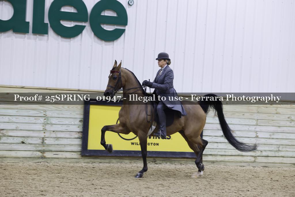 Proof 25SPRING_01947