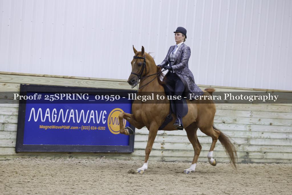 Proof 25SPRING_01950