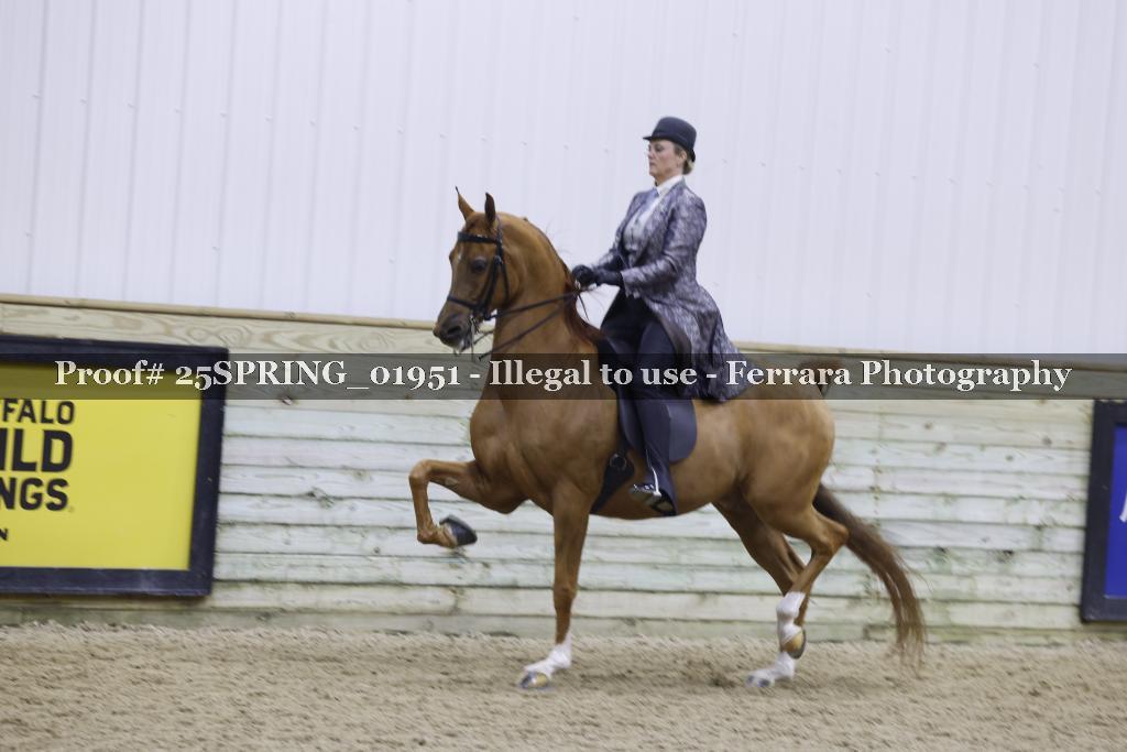 Proof 25SPRING_01951