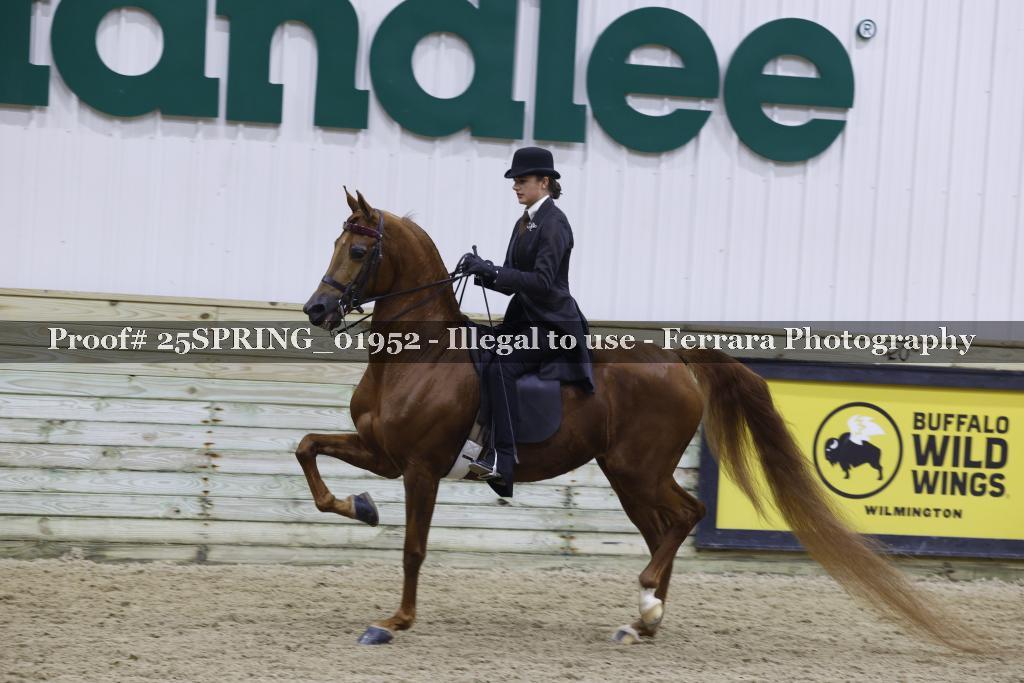 Proof 25SPRING_01952