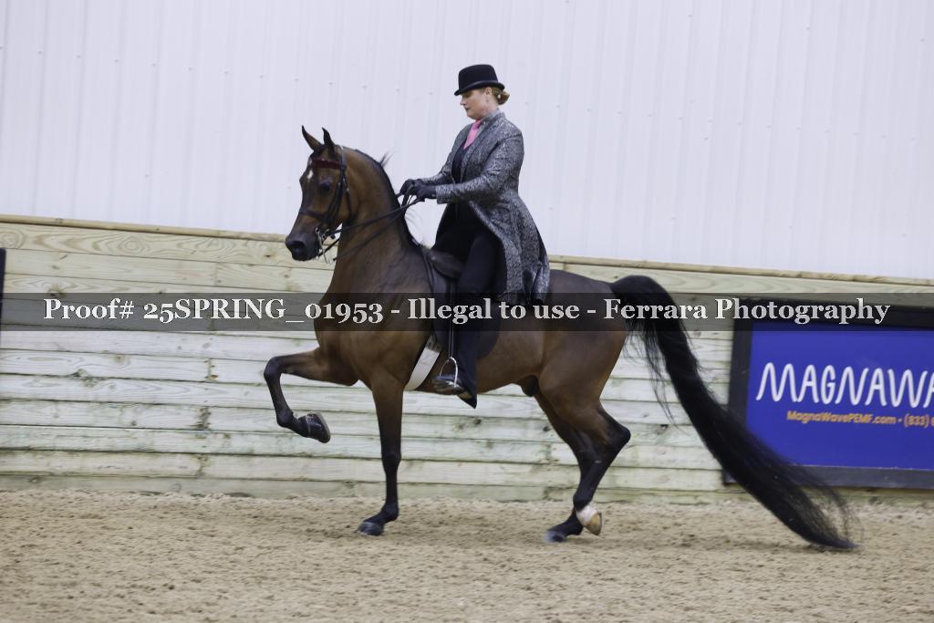 Proof 25SPRING_01953