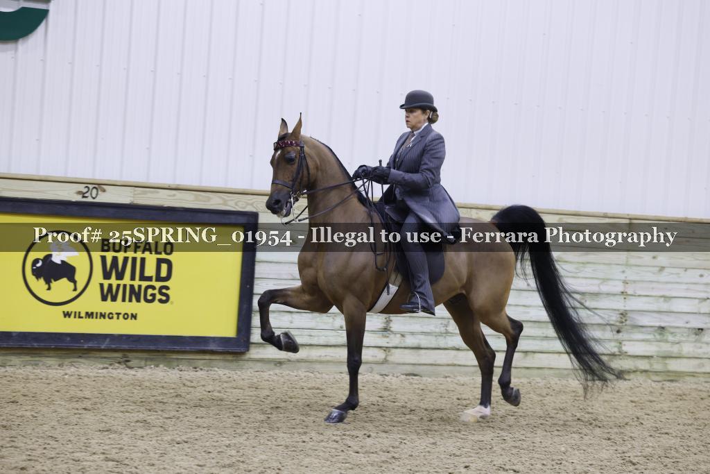 Proof 25SPRING_01954