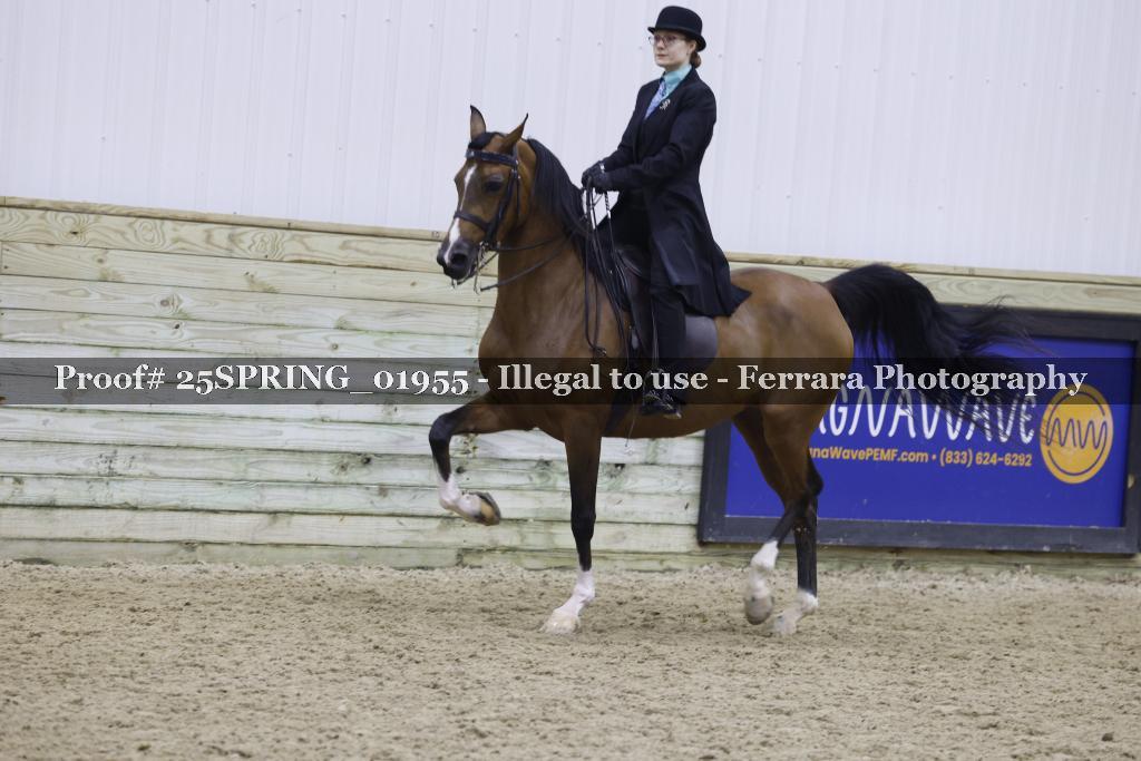 Proof 25SPRING_01955