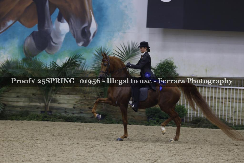Proof 25SPRING_01956