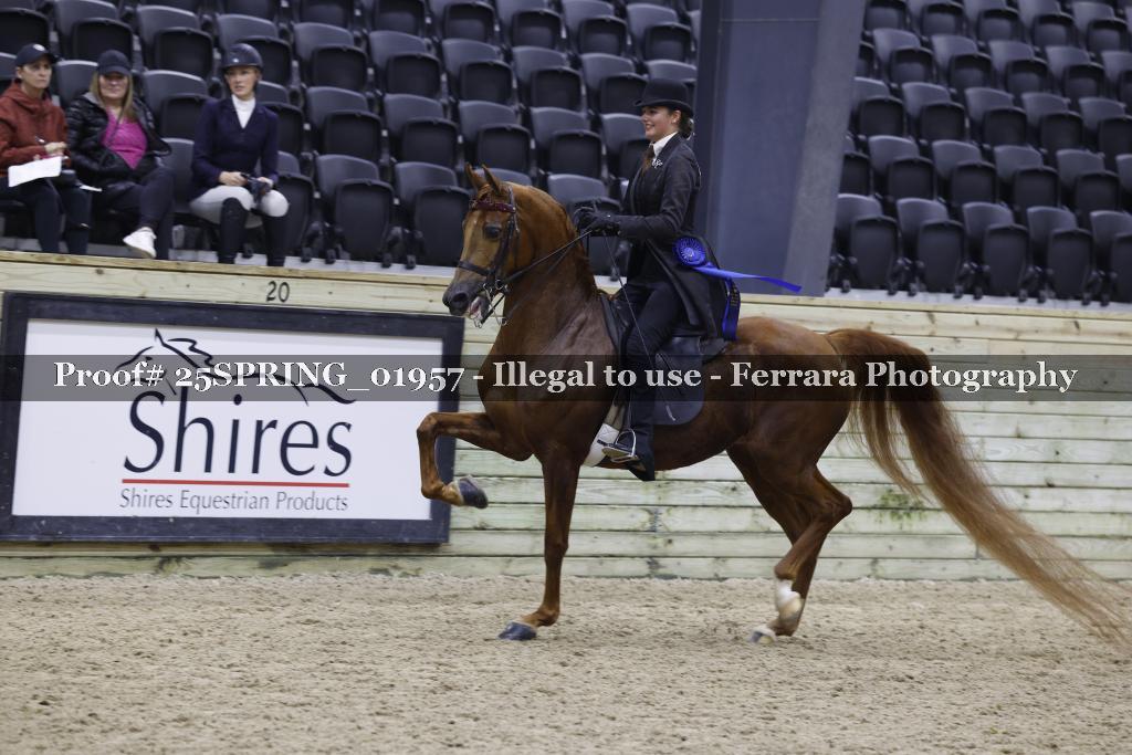 Proof 25SPRING_01957