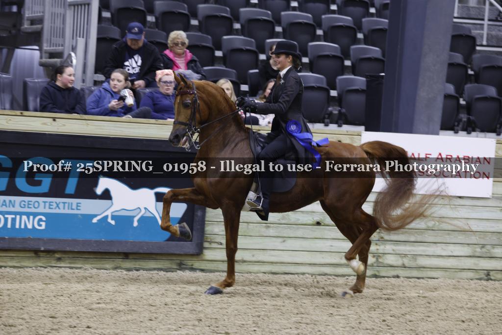 Proof 25SPRING_01958