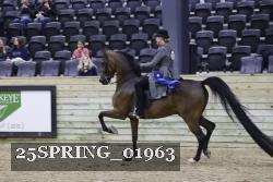 25SPRING_01963 proof
