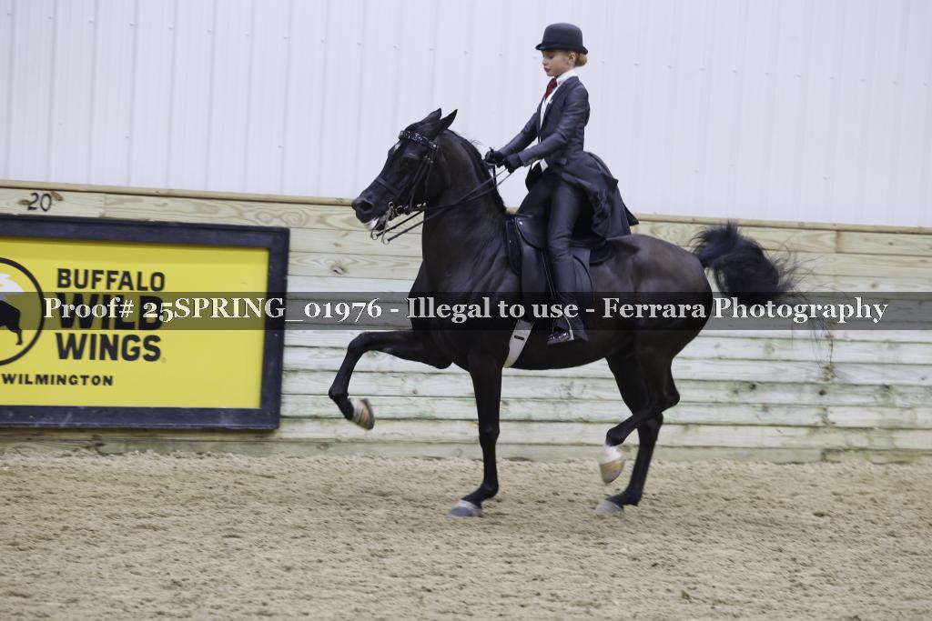 Proof 25SPRING_01976