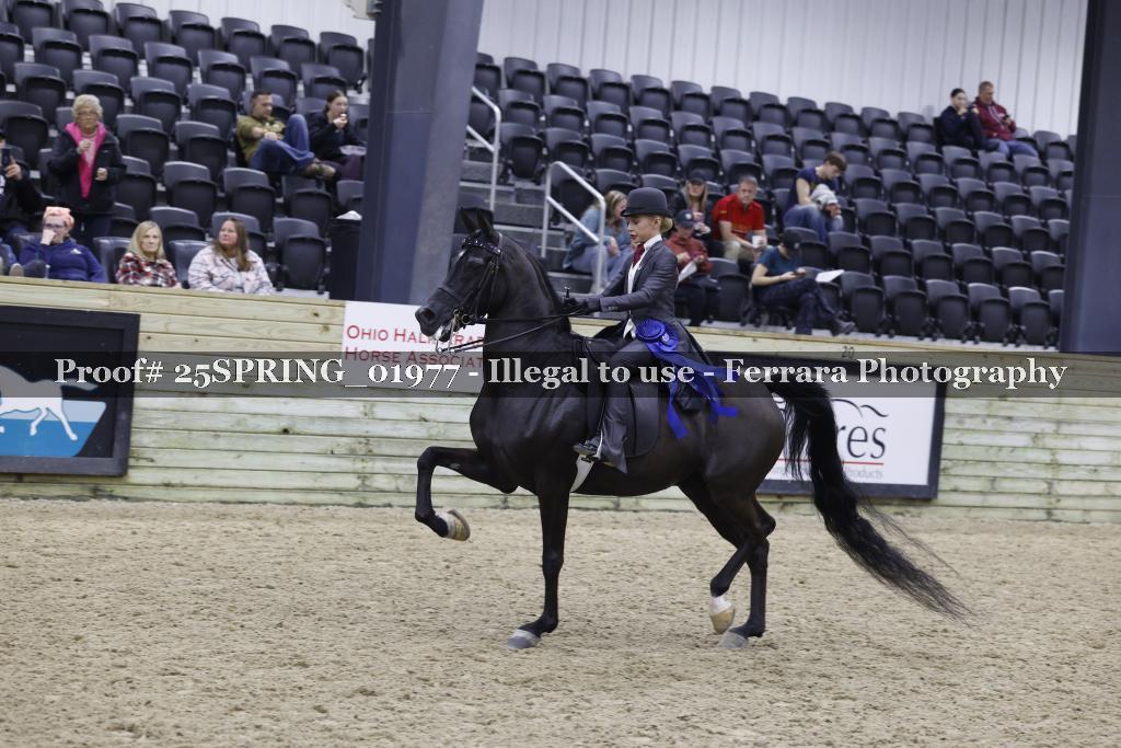 Proof 25SPRING_01977