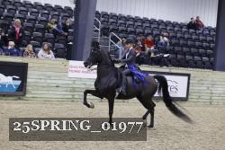 25SPRING_01977 proof