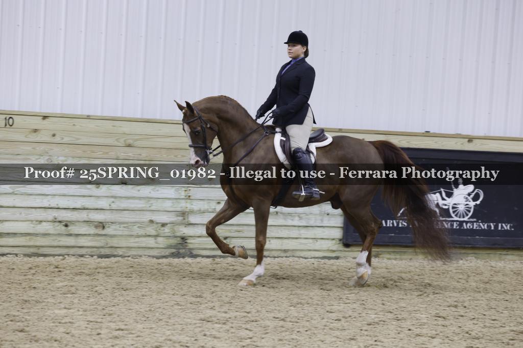 Proof 25SPRING_01982