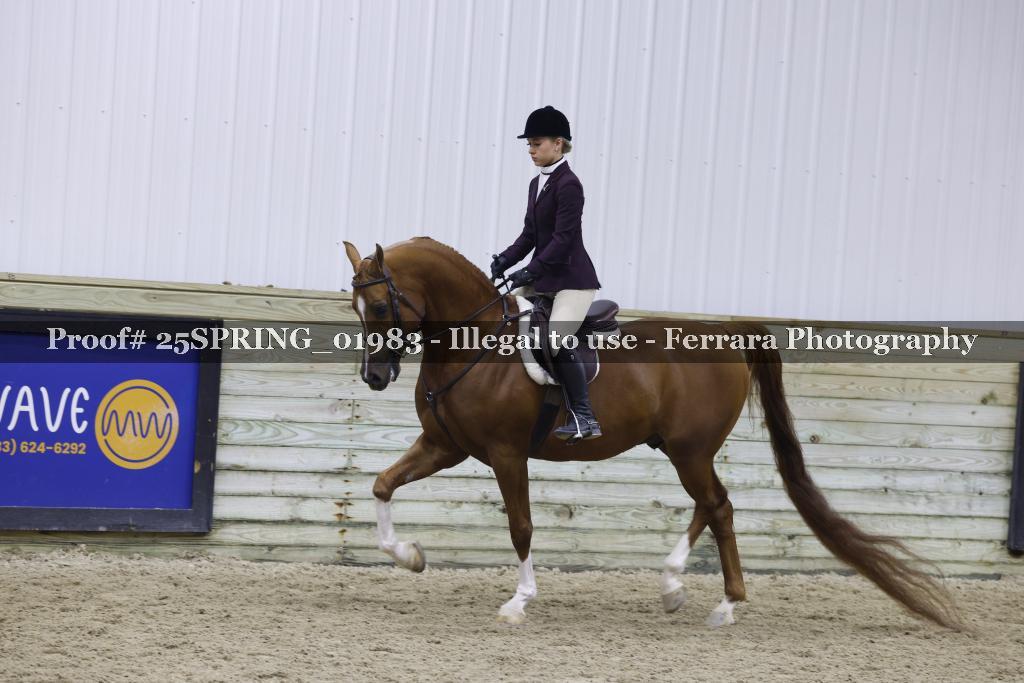 Proof 25SPRING_01983