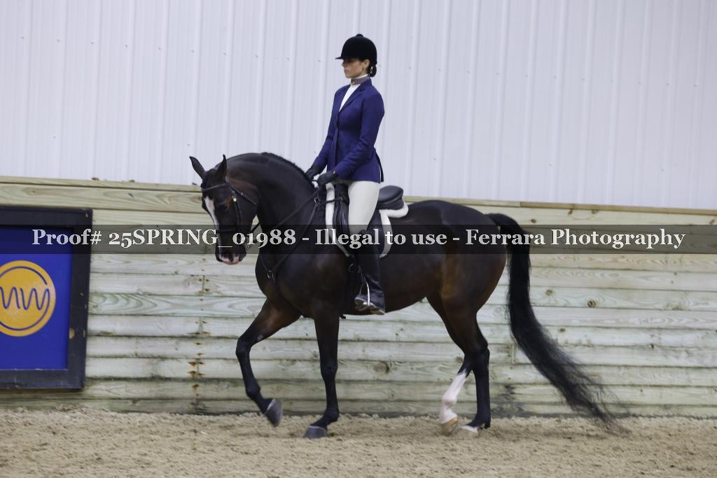 Proof 25SPRING_01988