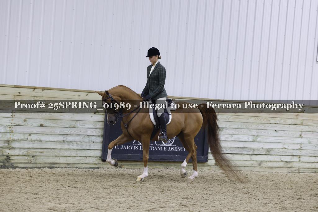 Proof 25SPRING_01989