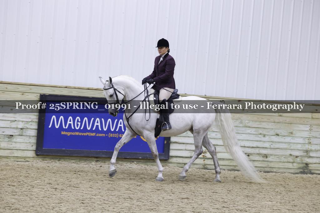 Proof 25SPRING_01991