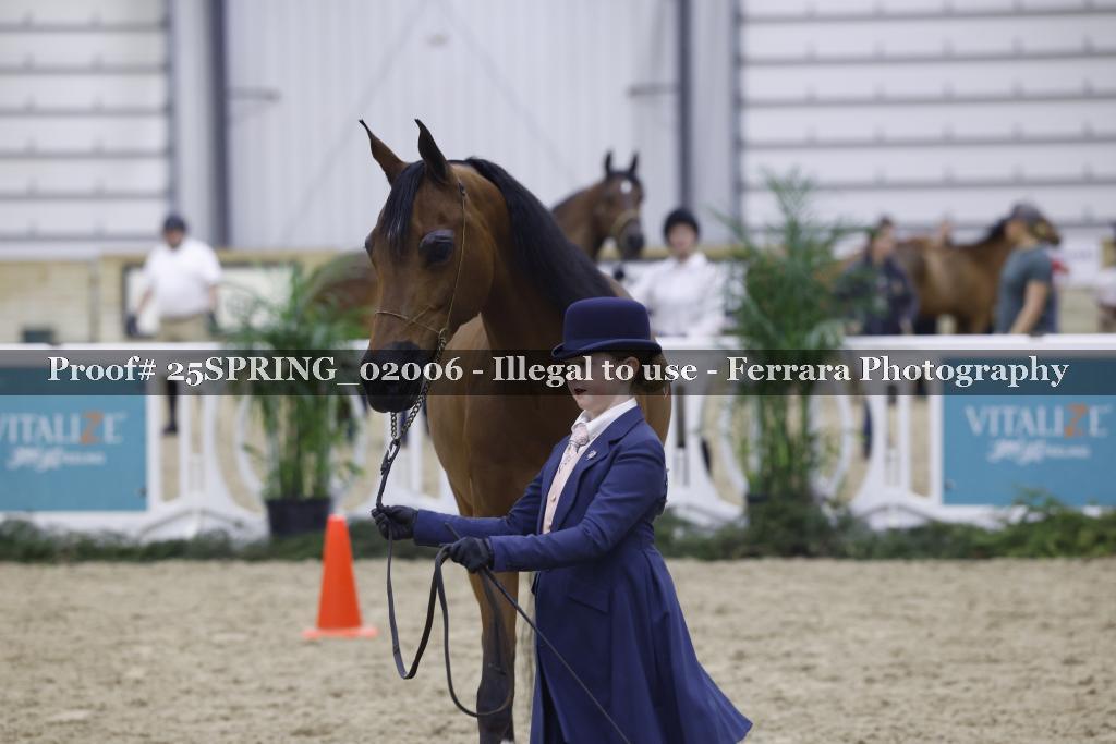 Proof 25SPRING_02006