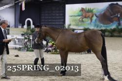 25SPRING_02013 proof