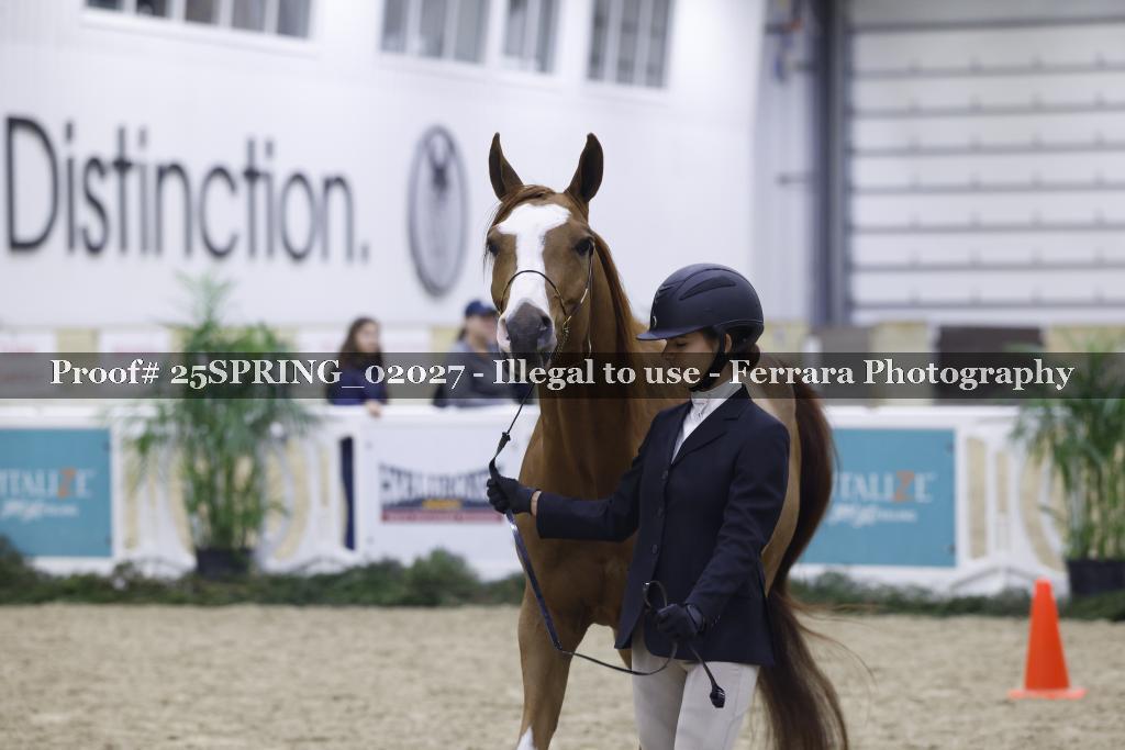 Proof 25SPRING_02027