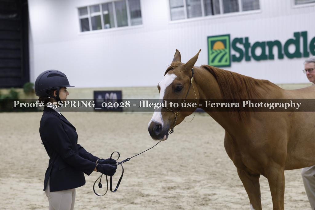Proof 25SPRING_02028